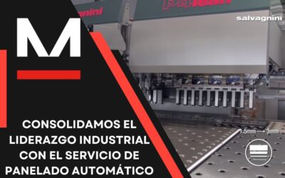 Servicio de Panelado Automático de Alta Precisión